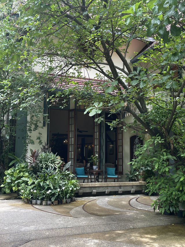 Bangkok’s hidden oasis 🍃