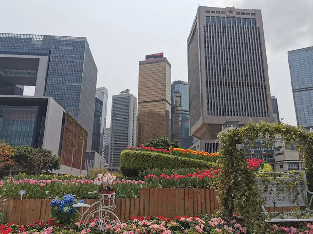 香港金鐘道