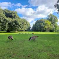 Kew Gardens (큐 가든, Royal Botanic Gardens)