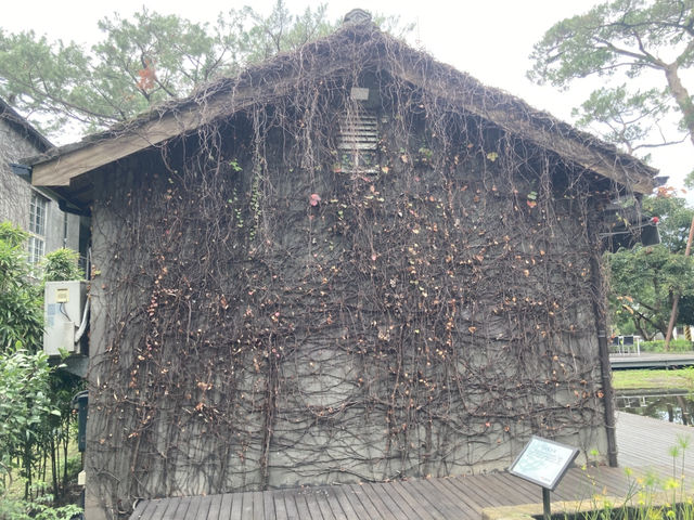 去松園別館看百年松樹