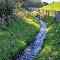 Lisvane & Llanishen Reservoirs – Cardiff’s Victorian Reservoirs & Urban Nature Oasis