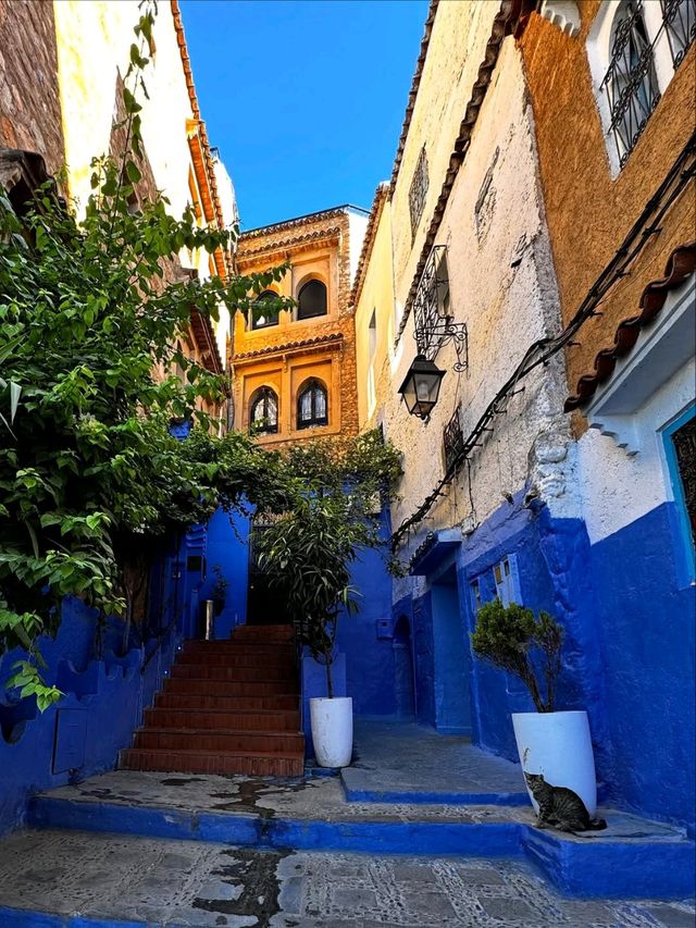 Wandering the Blue Streets of Chefchaouen