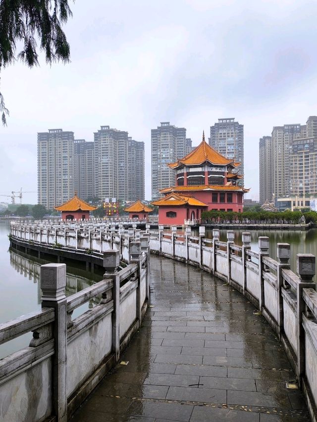 Nanhu Park walk🌳 on a cloudy day ☁️ Nanhu Park walk🌳 on a cloudy day ☁️