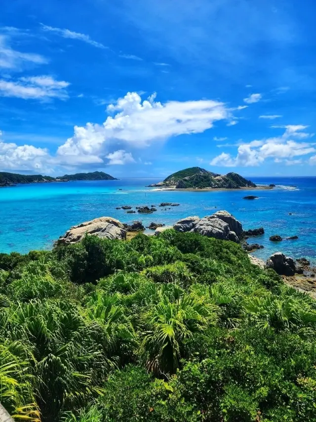 Tokashiki Island: A Deep Dive into the Kerama Blue • Beaches, Nature, and Whale Watching Guide