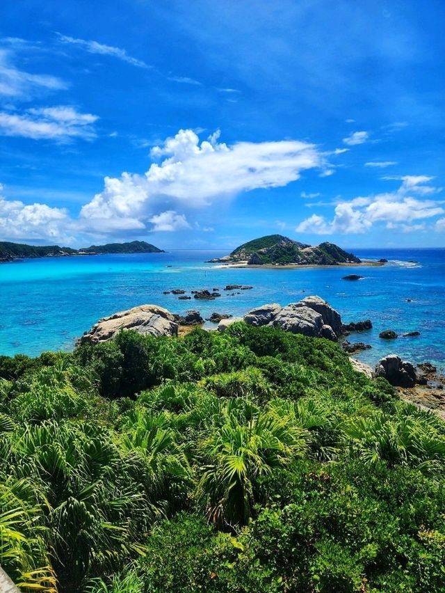 🏝渡嘉敷島深度遊 • 沉浸慶良間藍 • 海灘・自然・賞鯨全攻略🌊
