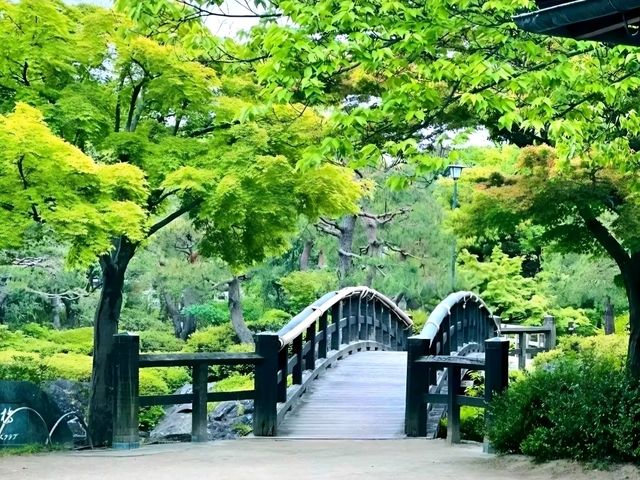 Peaceful Beauty at Shirotori Garden, Nagoya