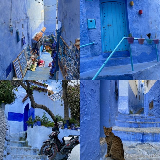 Wander Through the Dreamy Blue Alleyways of Chefchaouen 💙✨