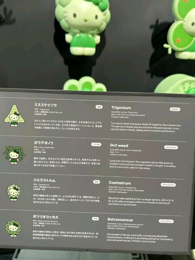去大阪Expo無理由唔去日本館