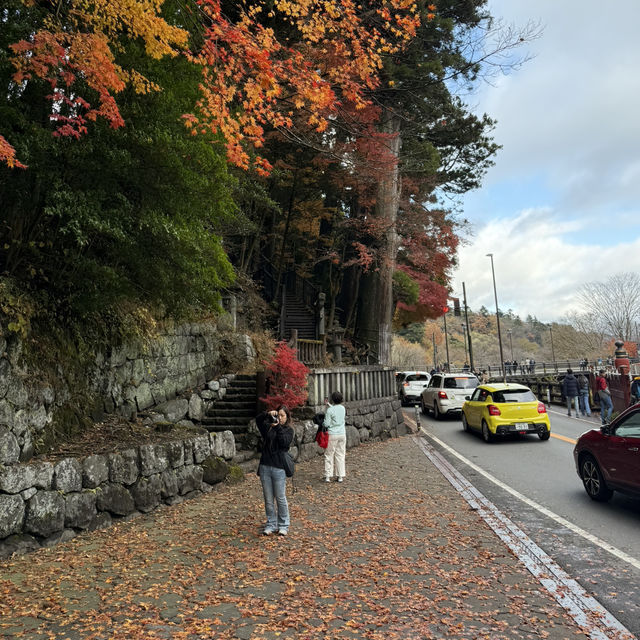 Shinkyō Bridge - Nikko ⛩️🌉