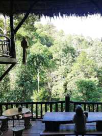 🌳 "บ้านต้นไม้" ที่พักและคาเฟ่สุดชิลล์ในเชียงดาว