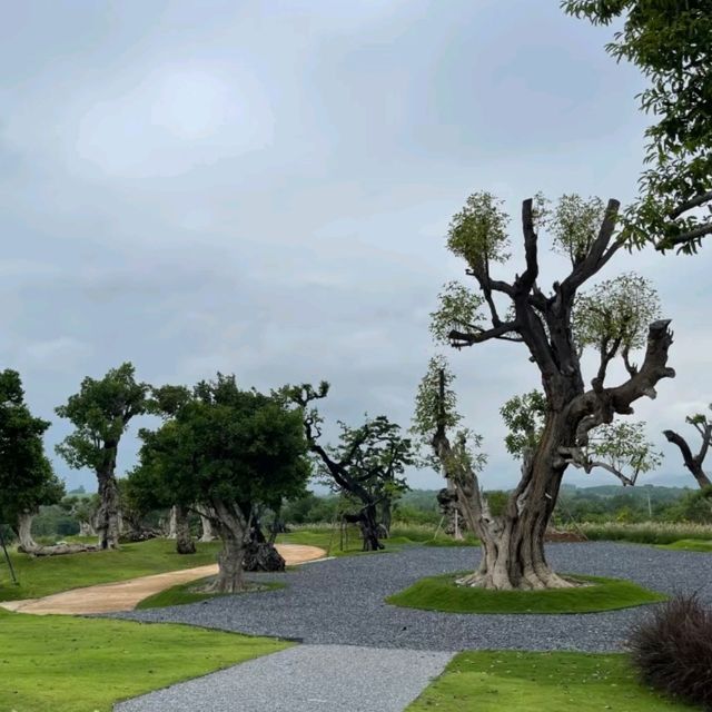 harudot at khaoyai