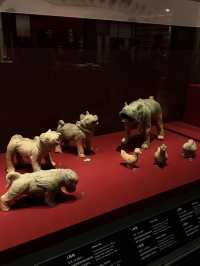 Xiang Yang Museum—free to visit🤩
