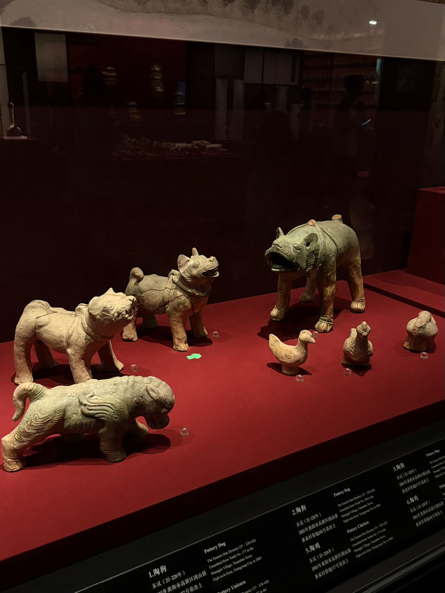 Xiang Yang Museum—free to visit🤩 Xiang Yang Museum—free to visit🤩