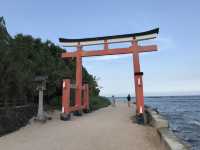 【宮崎】青島神社で叶える恋の願い🌴南国の縁結び旅💖