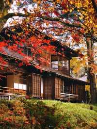 🍁✨ Nikko – The “Autumn Leaf Paradise” of Tochigi ✨🍂