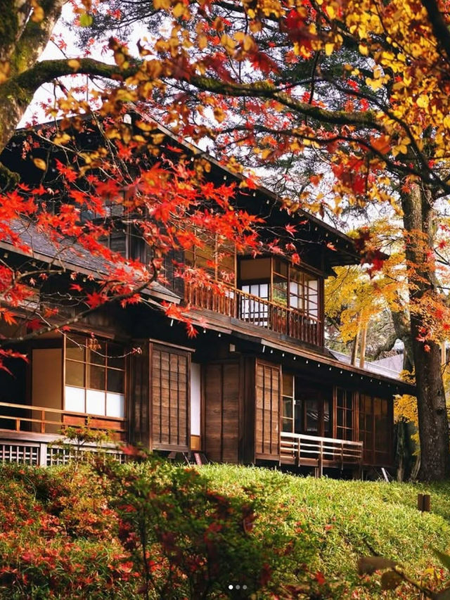 🍁✨ Nikko – The “Autumn Leaf Paradise” of Tochigi ✨🍂