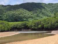 이시가키 투어 추천