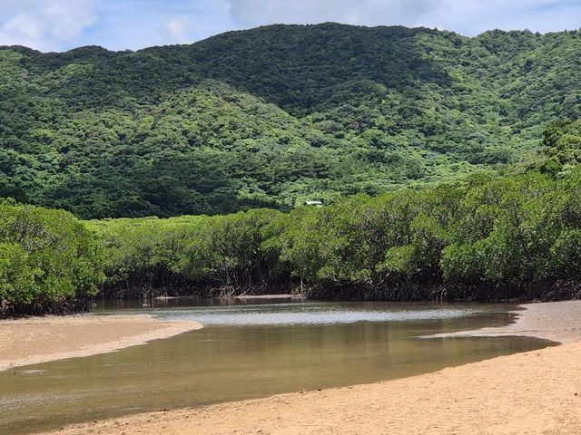 이시가키 투어 추천 이시가키 투어 추천