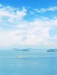 🌉 Hong Kong's Ocean & Traffic Symphony: Where Sea Meets City Pulse! 🚖