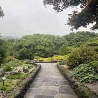 Halla Arboretum, Jeju Island,S.Korea