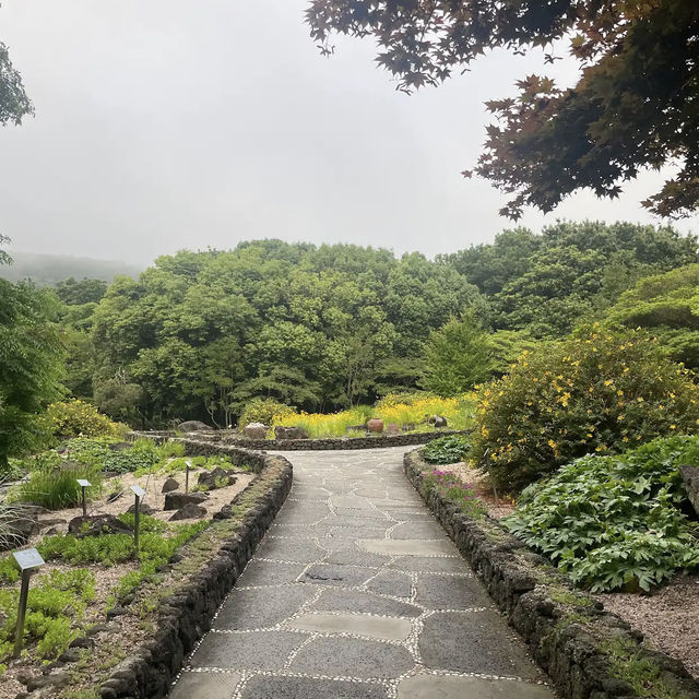 Halla Arboretum, Jeju Island,S.Korea
