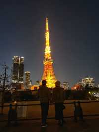 🍸 A Night with Tokyo Tower: Dinner at Stella Garden