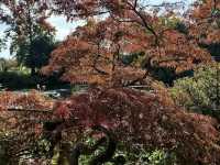 Claude Monet's House and Gardens - Giverny