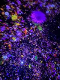 你一定要去的東京豐洲的 teamLab Planets！