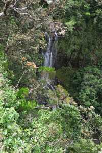 Alexandra Falls - Visit with Secretoo