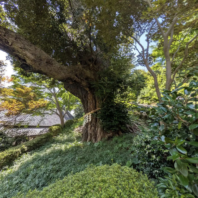 Hotel Chinzan-sō Tokyo Garden