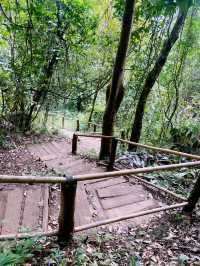 เส้นทางศึกษาธรรมชาติผาดอกเสี้ยว