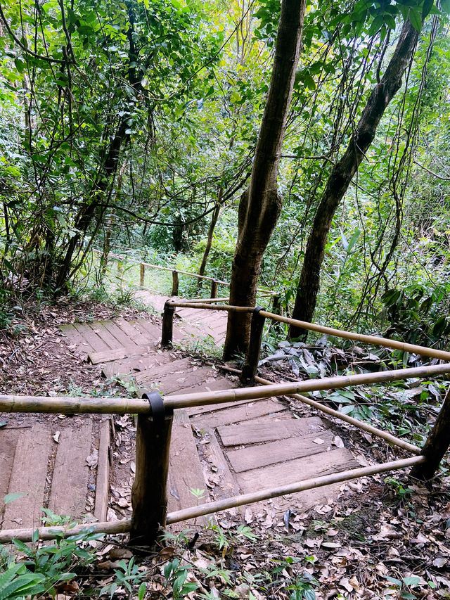 เส้นทางศึกษาธรรมชาติผาดอกเสี้ยว เส้นทางศึกษาธรรมชาติผาดอกเสี้ยว