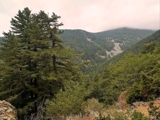 山々がささやき、自然が息づく場所