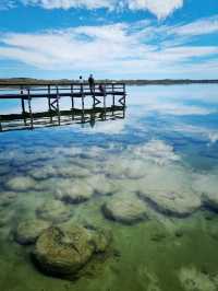 Lake Clifton Thrombolites: Earth's Ancient Life Forms