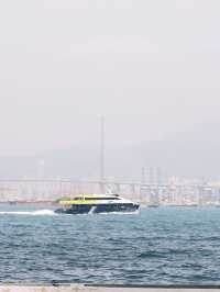 % Arabica, Kennedy Town ☕🌊