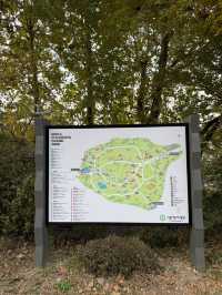 서울 도심 속 단풍 명소, 어린이대공원