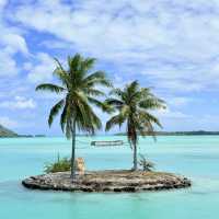 환상의 지상낙원 보라보라섬👍