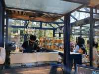 A Forest Sanctuary at Orchid Forest Cikole