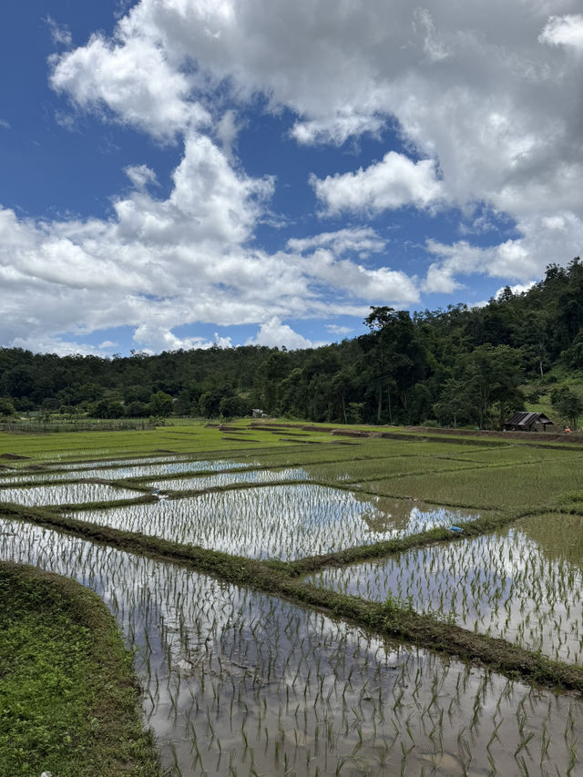 Chiang Mai 5 Days Itinerary