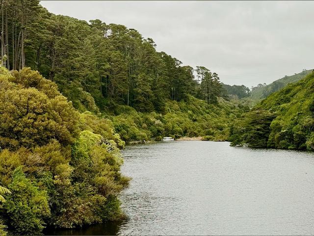 Sanctuary of Song & Forest Memory Sanctuary of Song & Forest Memory