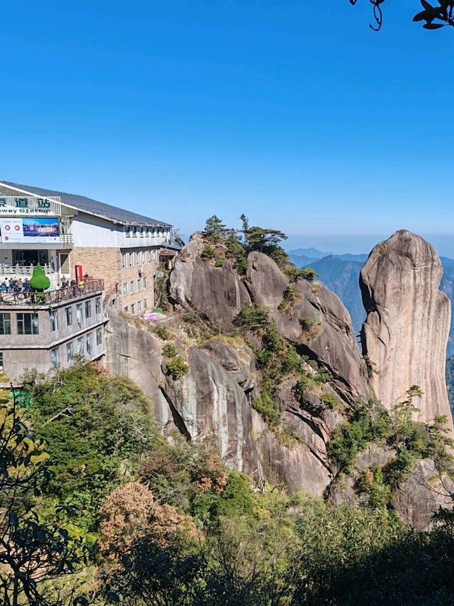 The Triple-Stacked Tortoise