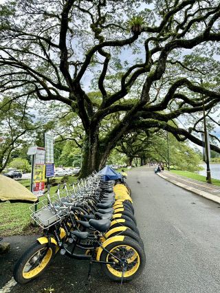 Tranquil Lakeside Beauty in Taiping