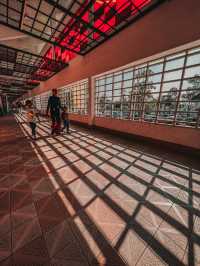 Energetic & Inspiring – State Swimming Competition at PADE Pusat Akuatik Darul Ehsan