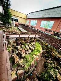 Echoes of Freedom at the Proclamation of Independence Memorial