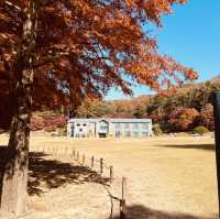 Historical Immersion on Presidential Trails