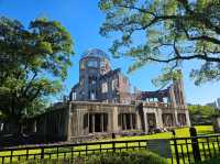 #원폭의 도시 히로시마에는 왜 사슴이 살까?