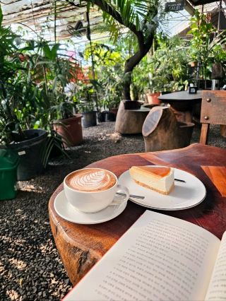 Fress Trees Garden & Cafe in Kochi, South India