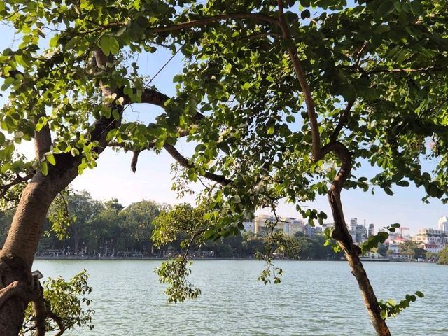 Hanoi's Old Quarter: The Beating Heart of the City Hanoi's Old Quarter: The Beating Heart of the City