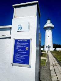 Festive Holiday Views at Eluanbi Lighthouse