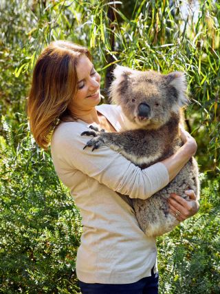Hug the koala, feed the lion, watch the star river! South Australia wildlife expedition is super unforgettable✨